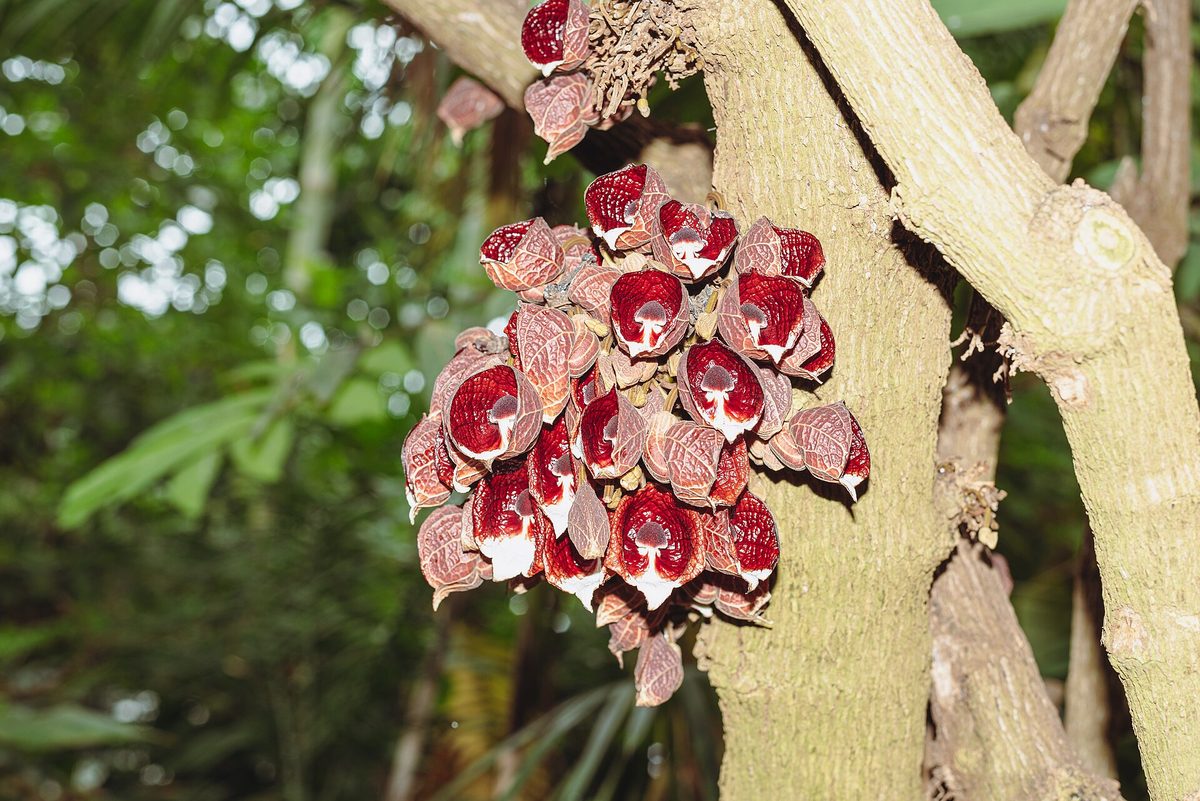 Im Botanischen Garten München-Nymphenburg